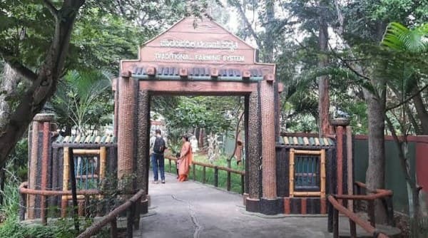 Our Native Village