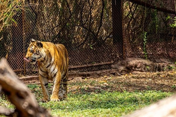 Park Hotel Resort With Bannerghatta Zoo